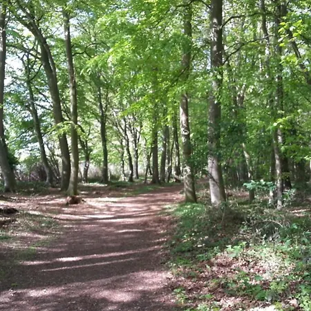 Ponykoppel Adult Only Bzw Ab 16 Jahre * 켈렌후센