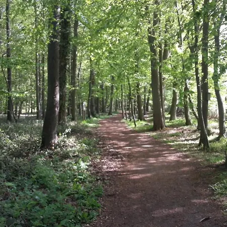 아파트 Ponykoppel Adult Only Bzw Ab 16 Jahre